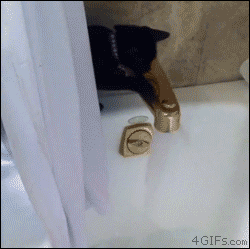 Котка във вана или рефакториращ програмист